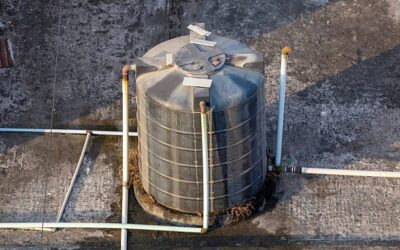 Kenapa Air di Tandon Cepat Berlumut? Ini Penjelasan Ilmiahnya